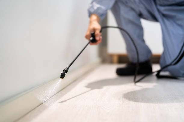 Licensed Pest Control service in Saranac, MI - Show Me Pest Control