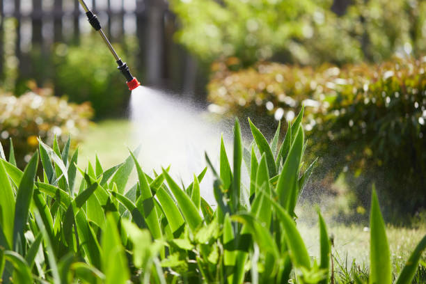 24/7 Emergency Mosquito Control experts in Saranac, MI
