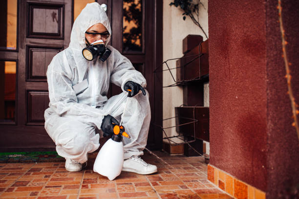 Reliable Mosquito Control contractor in Saranac, MI by Show Me Pest Control