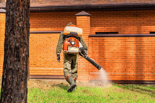 Top rated local Mosquito Control specialists in Saranac, MI